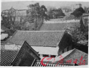 芳村人的贫民英雄史诗