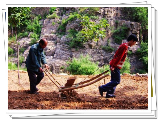 【活动内容】碌碡又称"碌轴 liùzhou,是一种石制的圆柱形农具