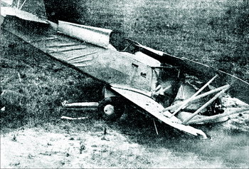 广州市财政局布告云:现将东郊瘦狗岭一带荒山勘明,指定为市民公共坟场