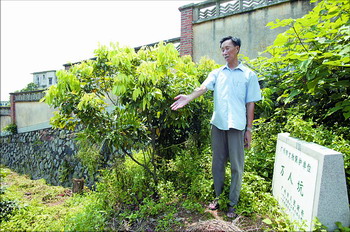 广州图书馆·广州抗战遗址·(黄埔牛山万人坑)比暴行更可怕的是淡漠