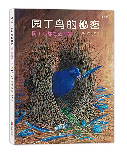 《园丁鸟的秘密》