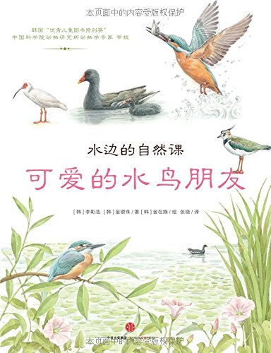 《可爱的水鸟朋友》