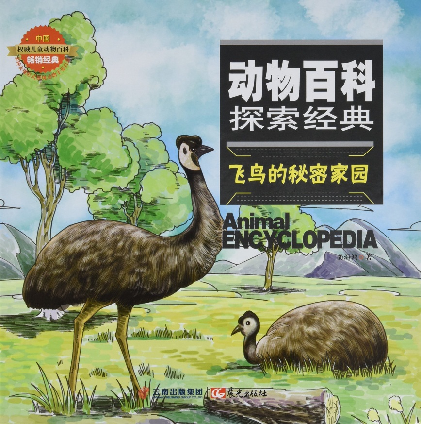 《飞鸟的秘密家园》