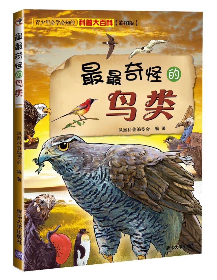 《最最奇怪的鸟类》