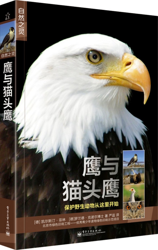 《鹰与猫头鹰》