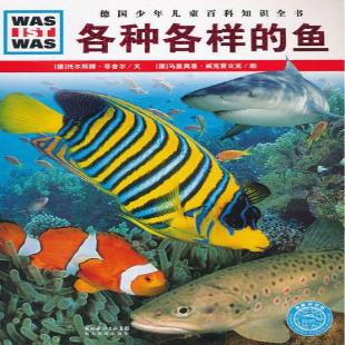 各种各样的鱼