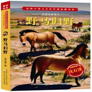 《野马归野》