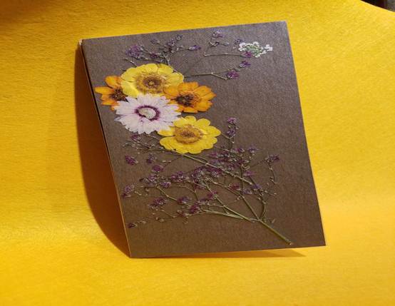 说明: 84729024564662367.jpg