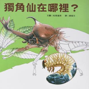 独角仙在哪里？