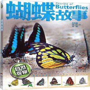 《蝴蝶故事》