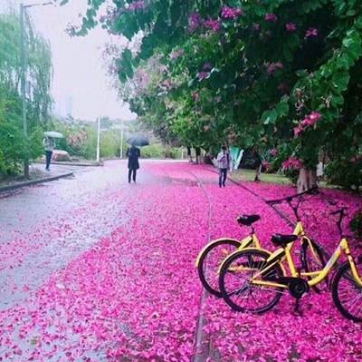 说明: 4addaf28ly1fntue8thvmj20dp0eejve