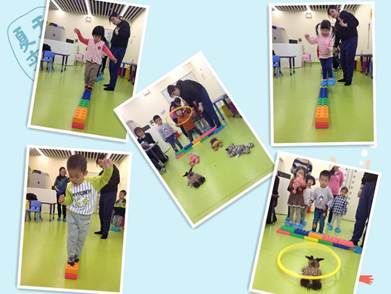 说明: IMG_8885_副本