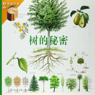 《树的秘密》