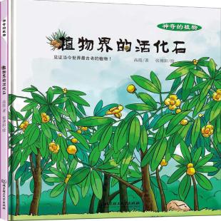 《植物界的活化石》