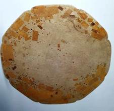 说明: 说明: 2074528106