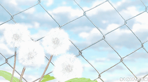说明: th (1).gif