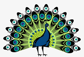 说明: e691cb0f30147841e16eeacaf28425355ce1.png