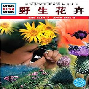《野生花卉》