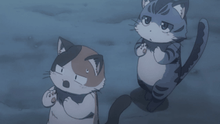 说明: 595f51a8.gif