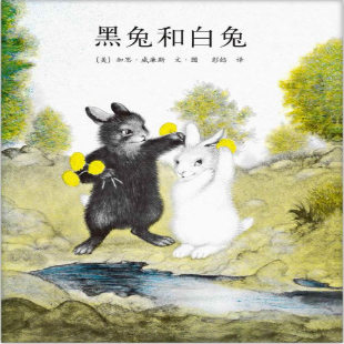 《黑兔和白兔》