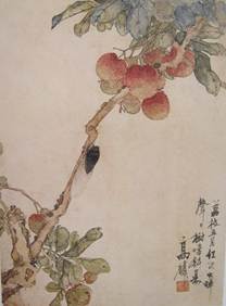 说明: IMG_0832