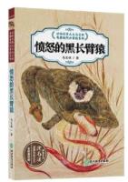 愤怒的黑长臂猿  