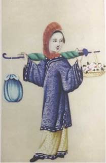 说明: 通草画1
