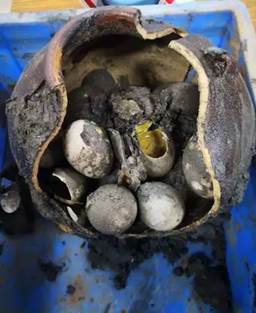 说明: mmexport1565281344274