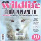 BBC wildlife
