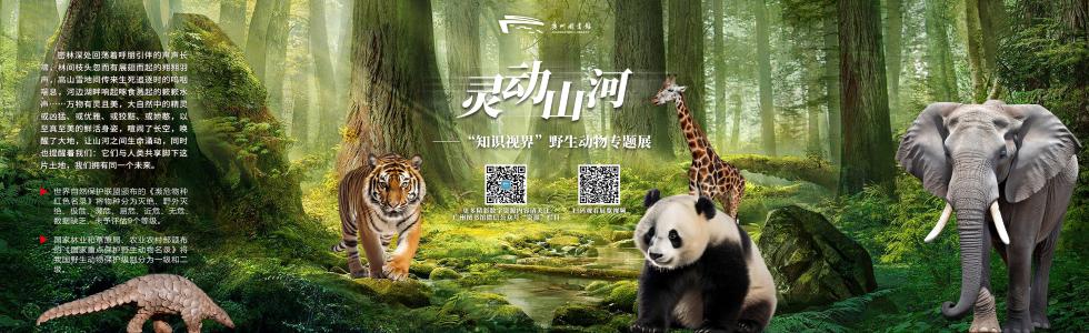灵动山河——“知识视界”野生动物专题展览