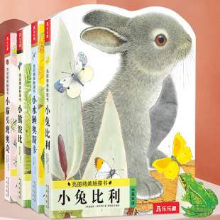 亮丽精美触摸书系列丛书