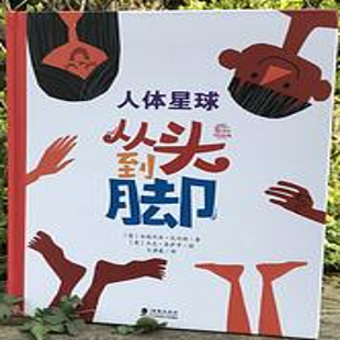 人体星球：从头到脚