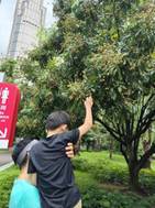 说明: 微信图片_20250712185108_125