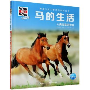 马的生活：人类忠实的伙伴